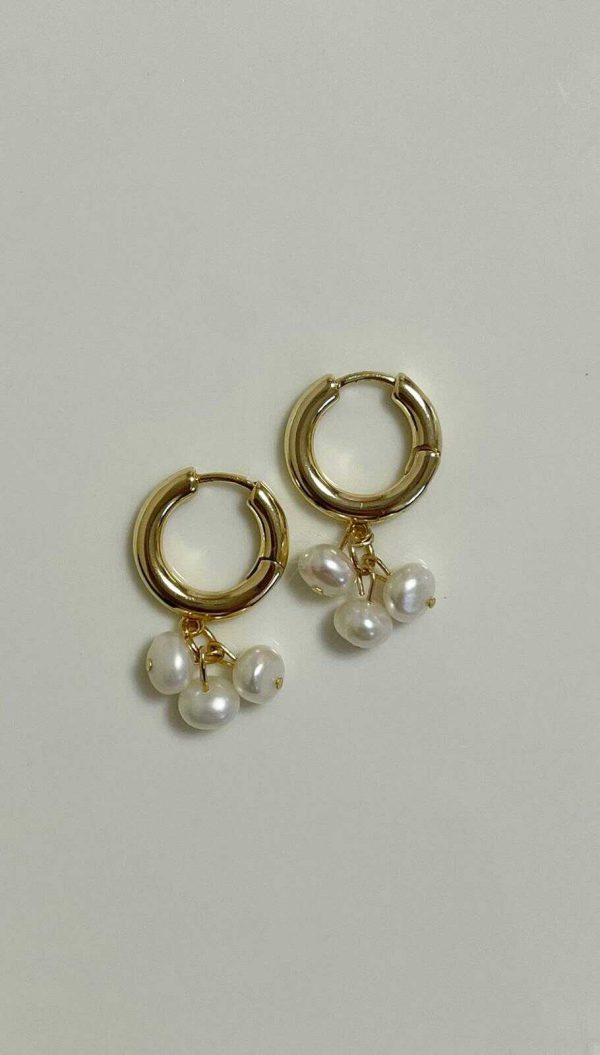 SHINY EARRINGS